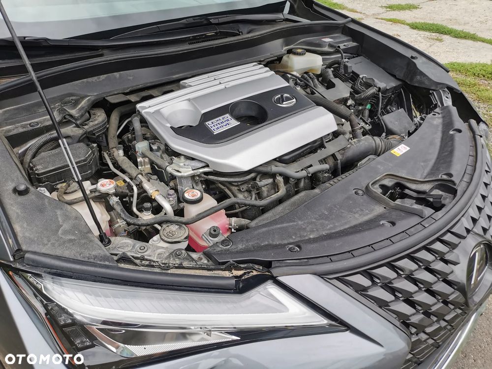 Lexus UX 250h - 17