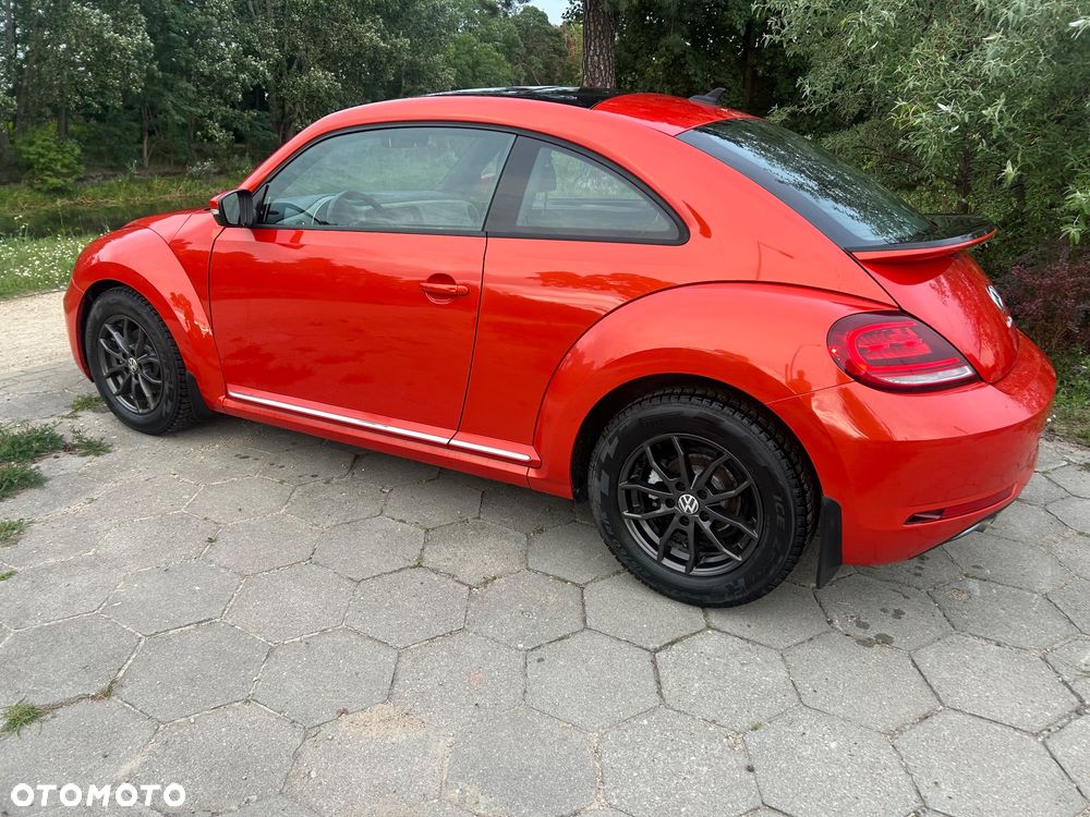 Volkswagen Beetle - 34