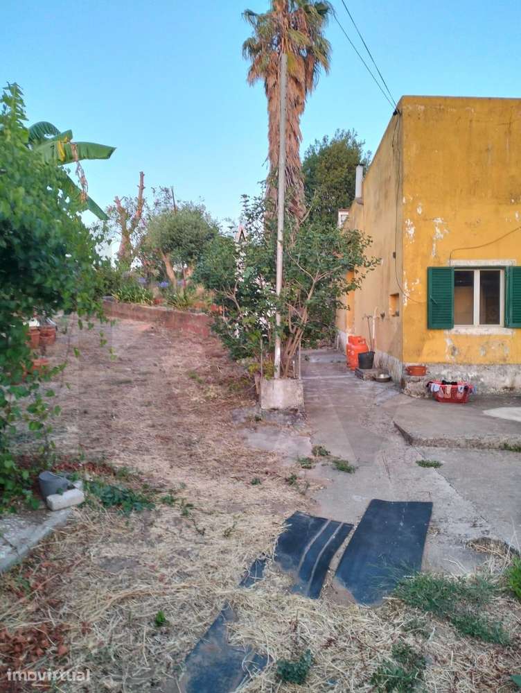 Quintinha com Moradia T2+2 | lote 1.399 m2 | Torres Vedras PIP aprovad - Grande imagem: 4/29