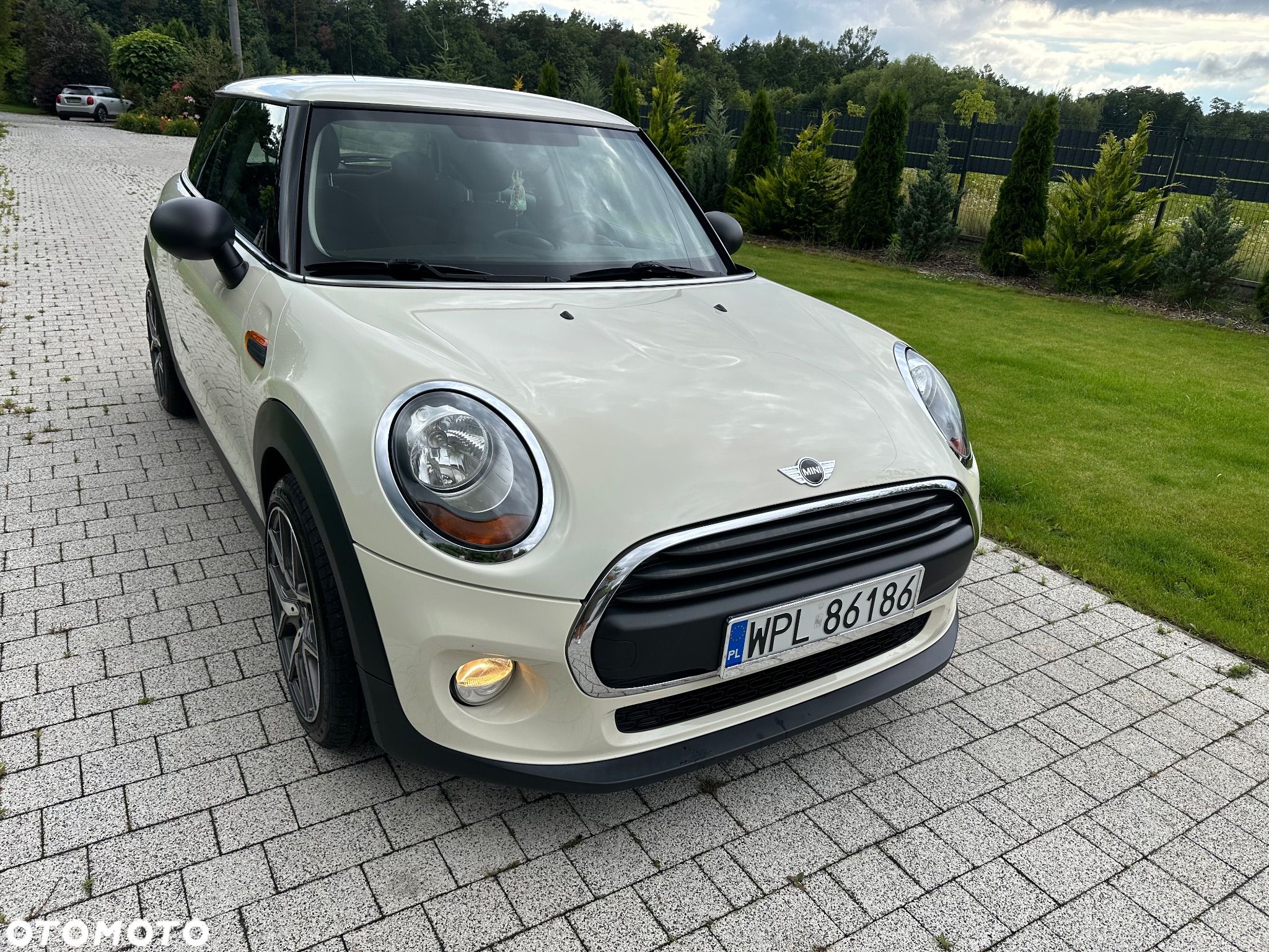 MINI ONE Standard - 1