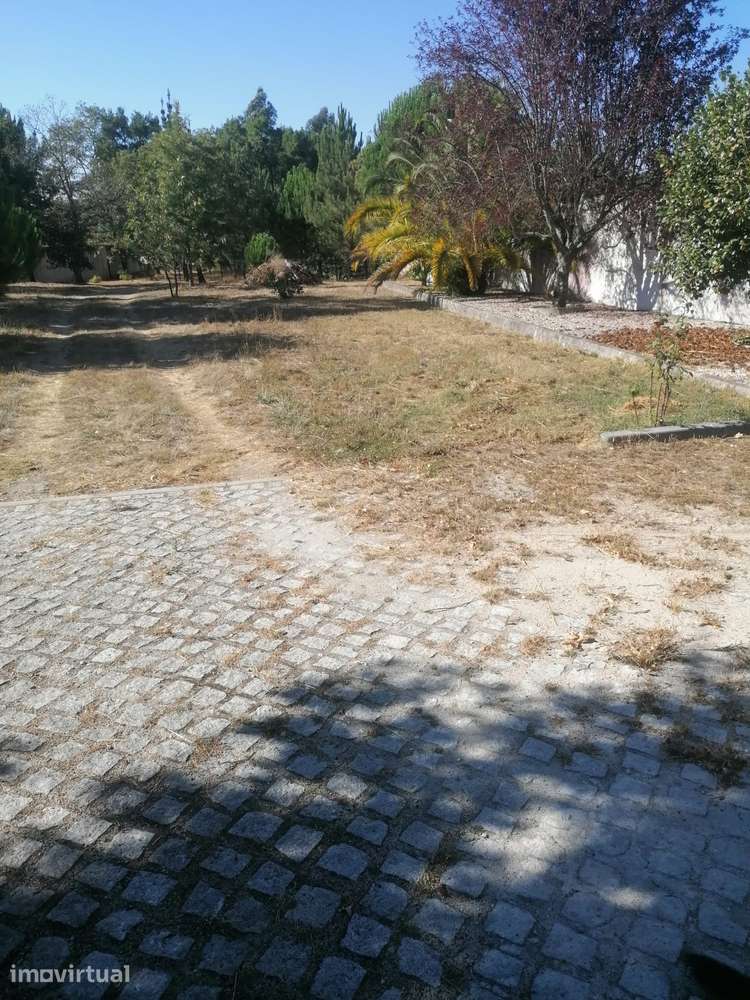Quinta com 2 moradias em Tábua - Grande imagem: 5/40