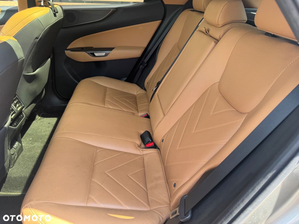 Lexus NX 350h F Sport AWD - 18