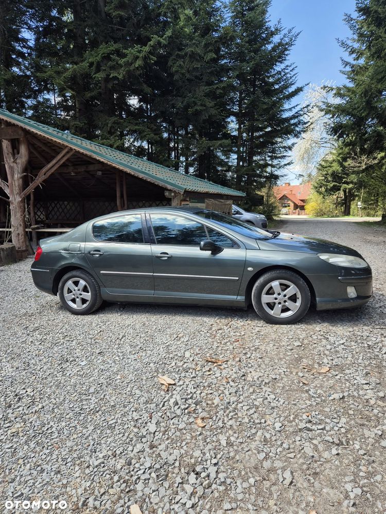 Peugeot 407 HDi 110 Esplanade - 12