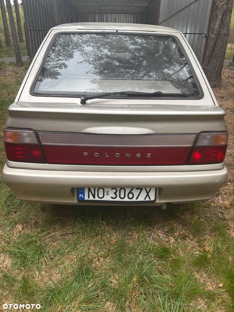 Polonez Caro - 19