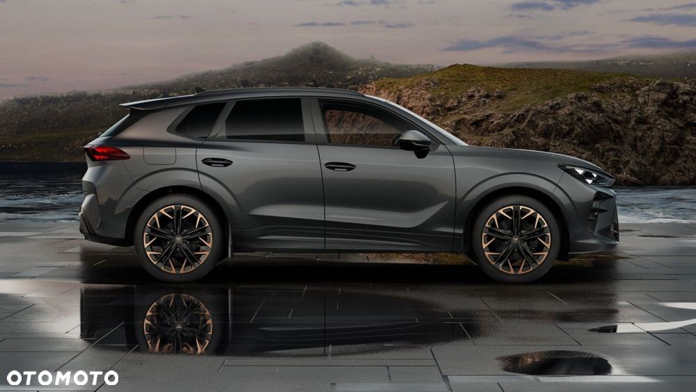 Cupra Terramar 2.0 TSI 4Drive DSG - 6