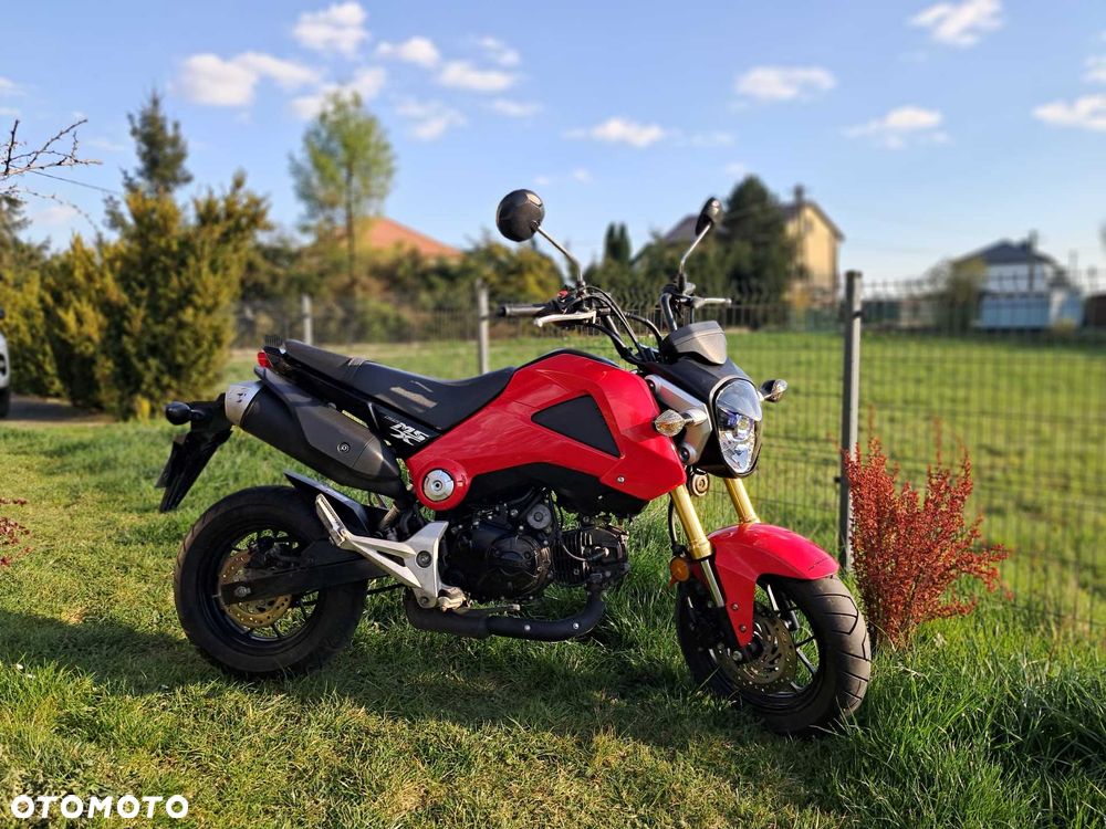 Honda MSX125 - 4