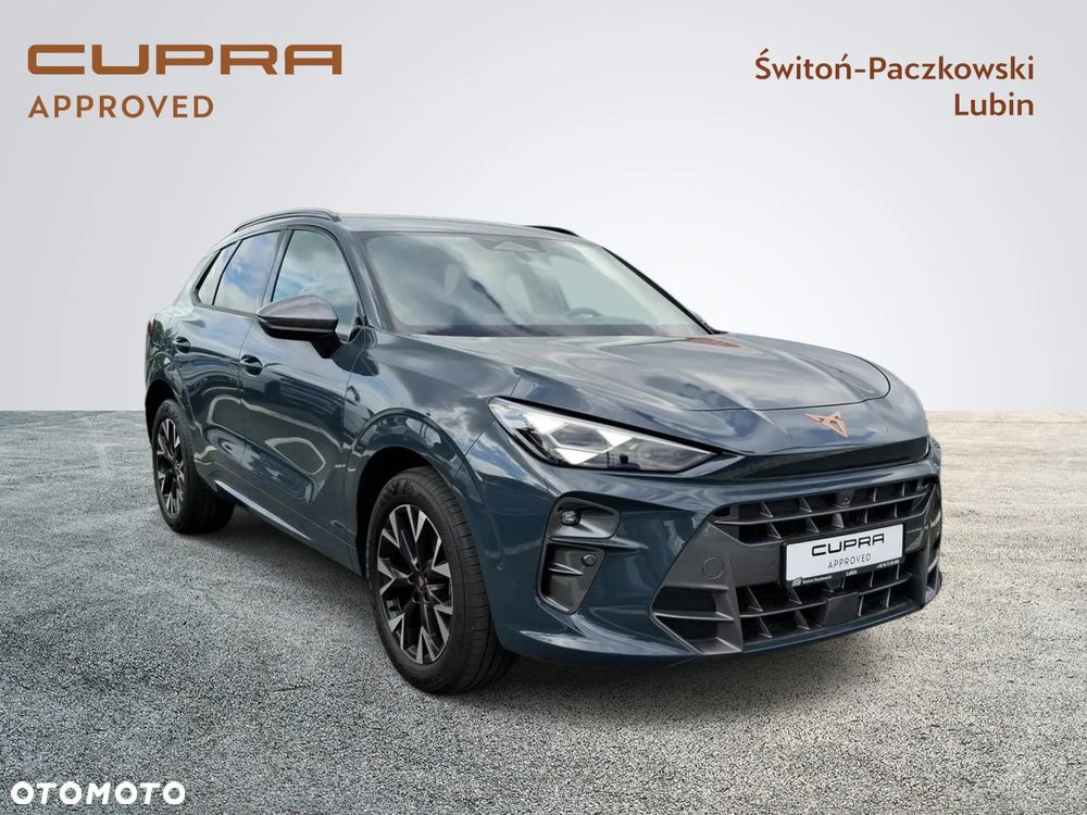 Cupra Terramar - 7