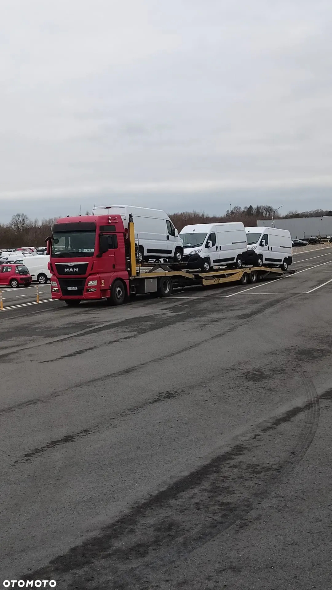 MAN TGX - 31