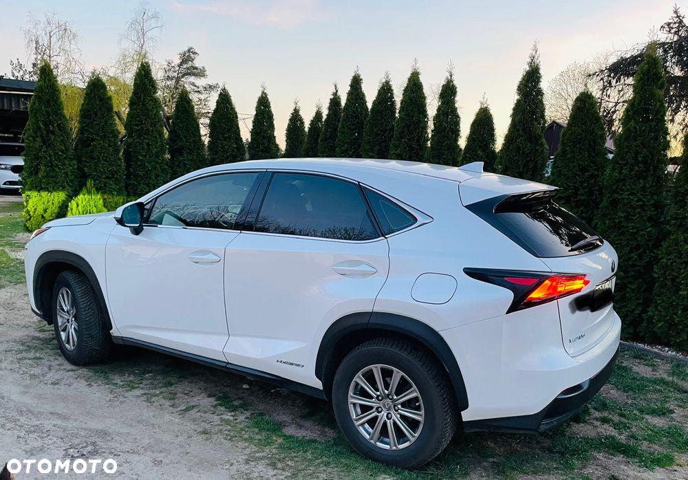 Lexus NX 300h Elegance 2WD - 6