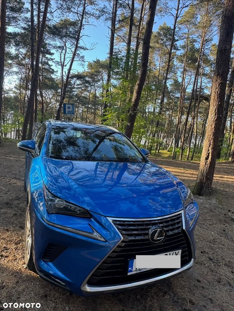 Lexus NX 300 Elegance AWD - 1
