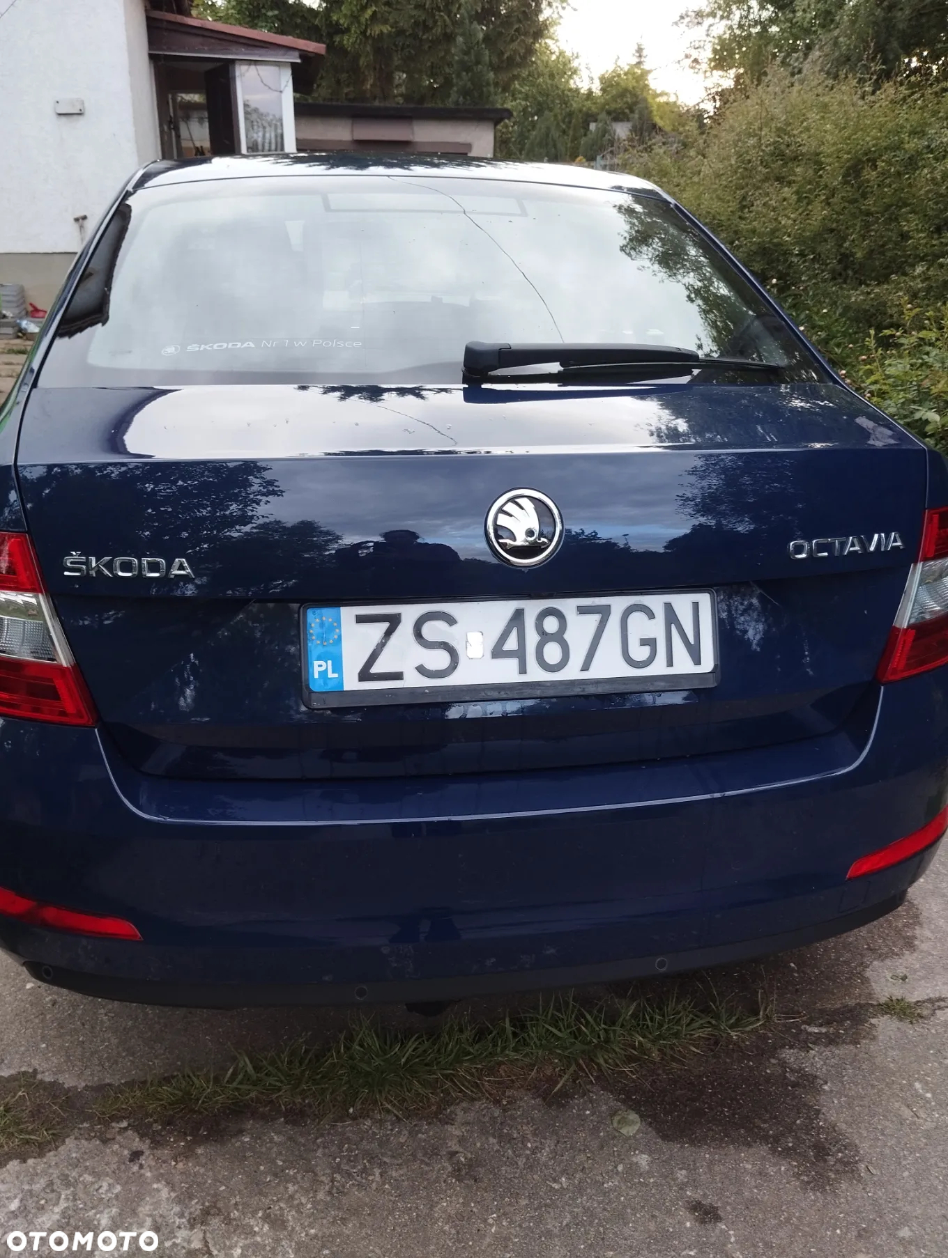Skoda Octavia - 6
