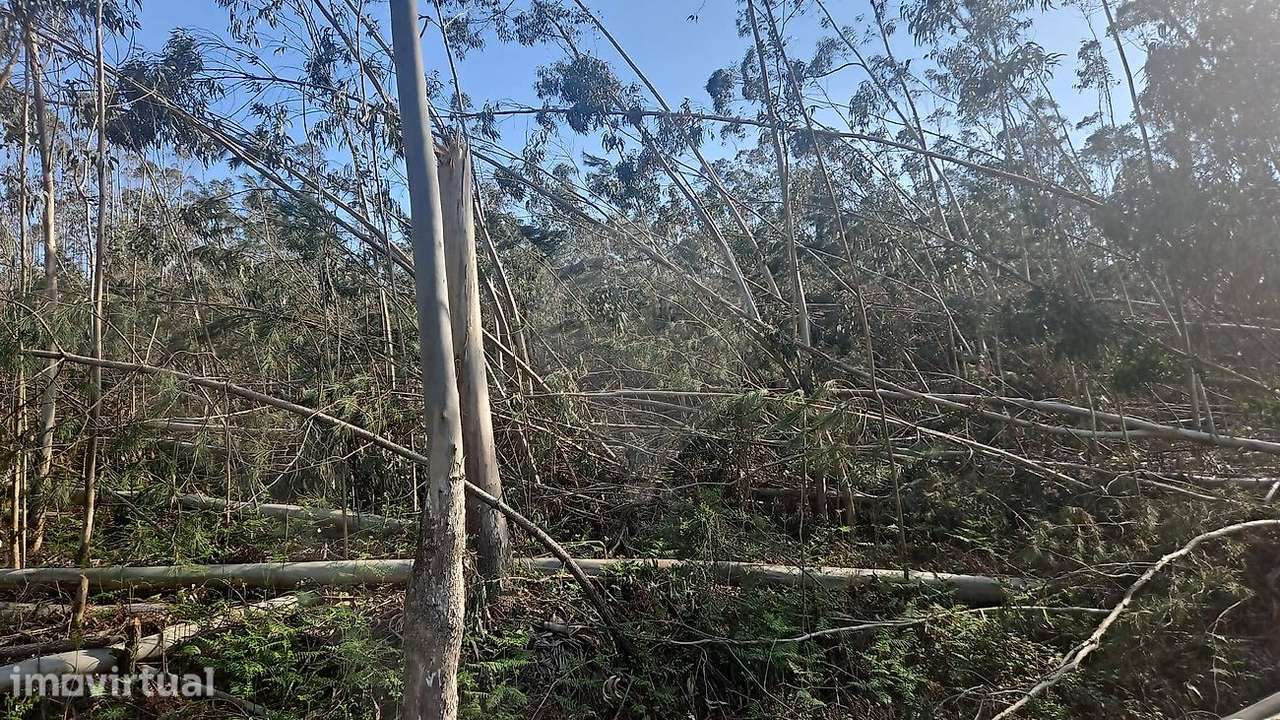 Terreno  para venda - Grande imagem: 3/6