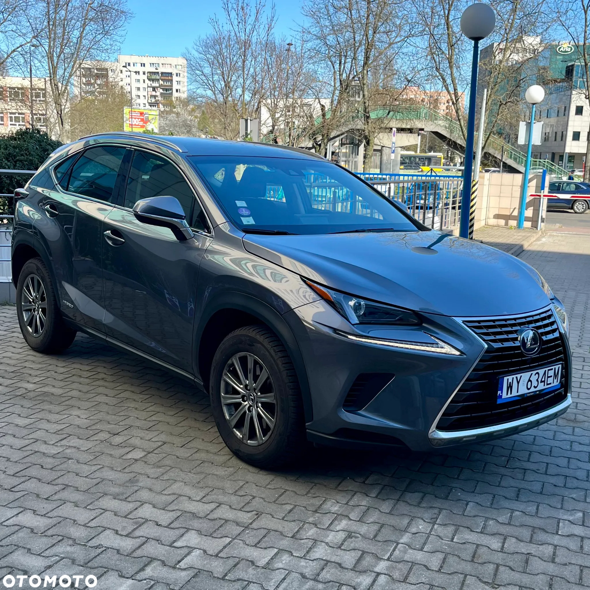 Lexus NX 300h Business Edition - 3