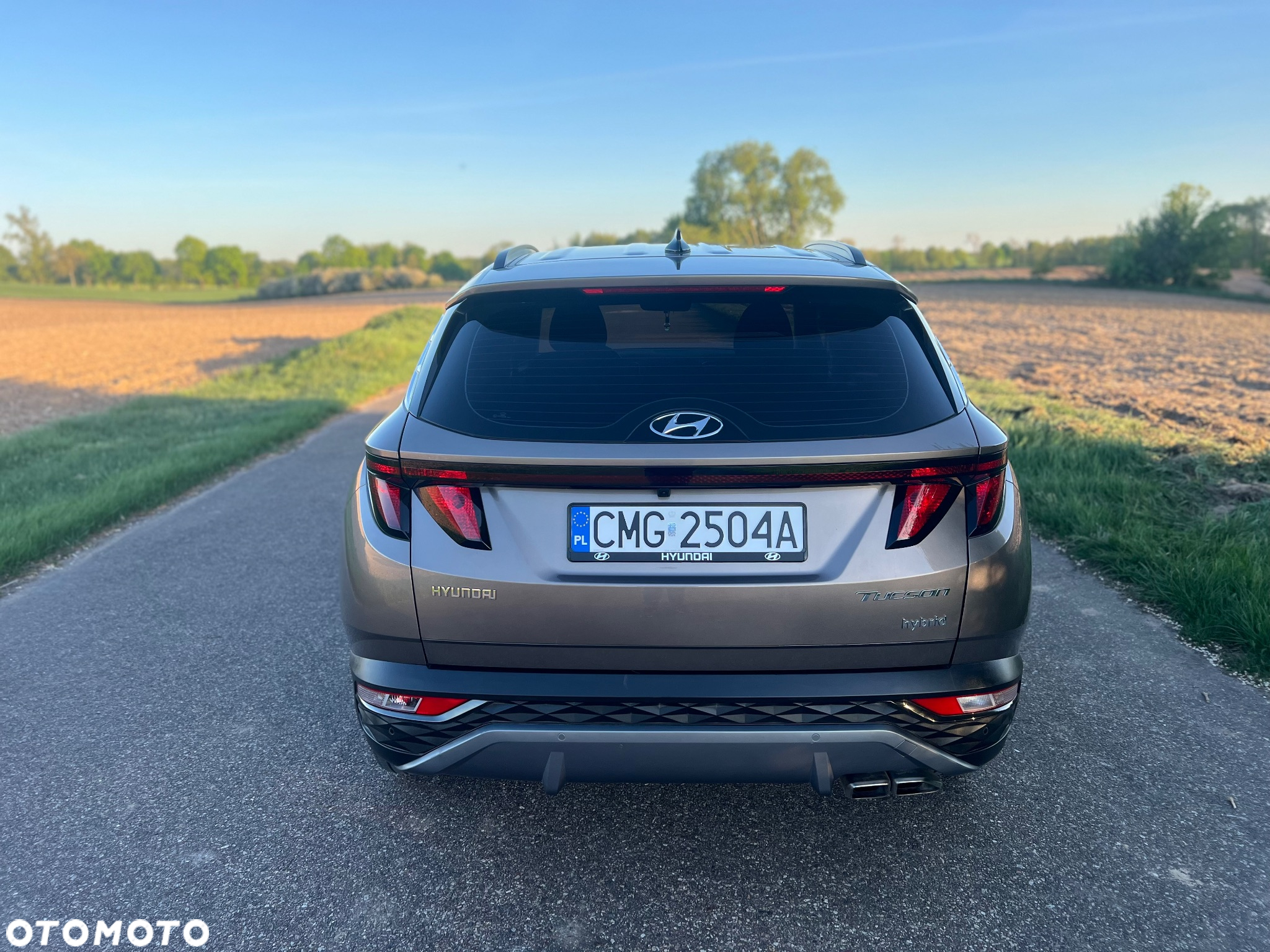 Hyundai Tucson 1.6 T-GDi HEV 2WD Prime - 6