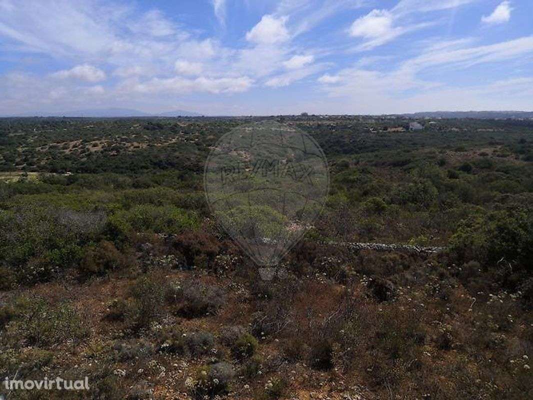 Terreno  para venda - Grande imagem: 3/8