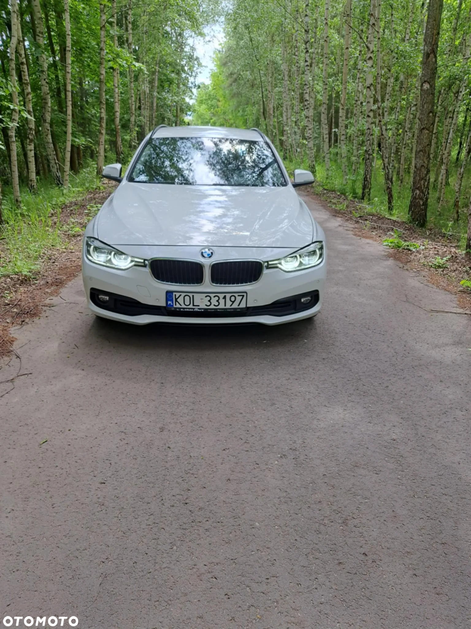 BMW Seria 3 318d Sport Line - 13