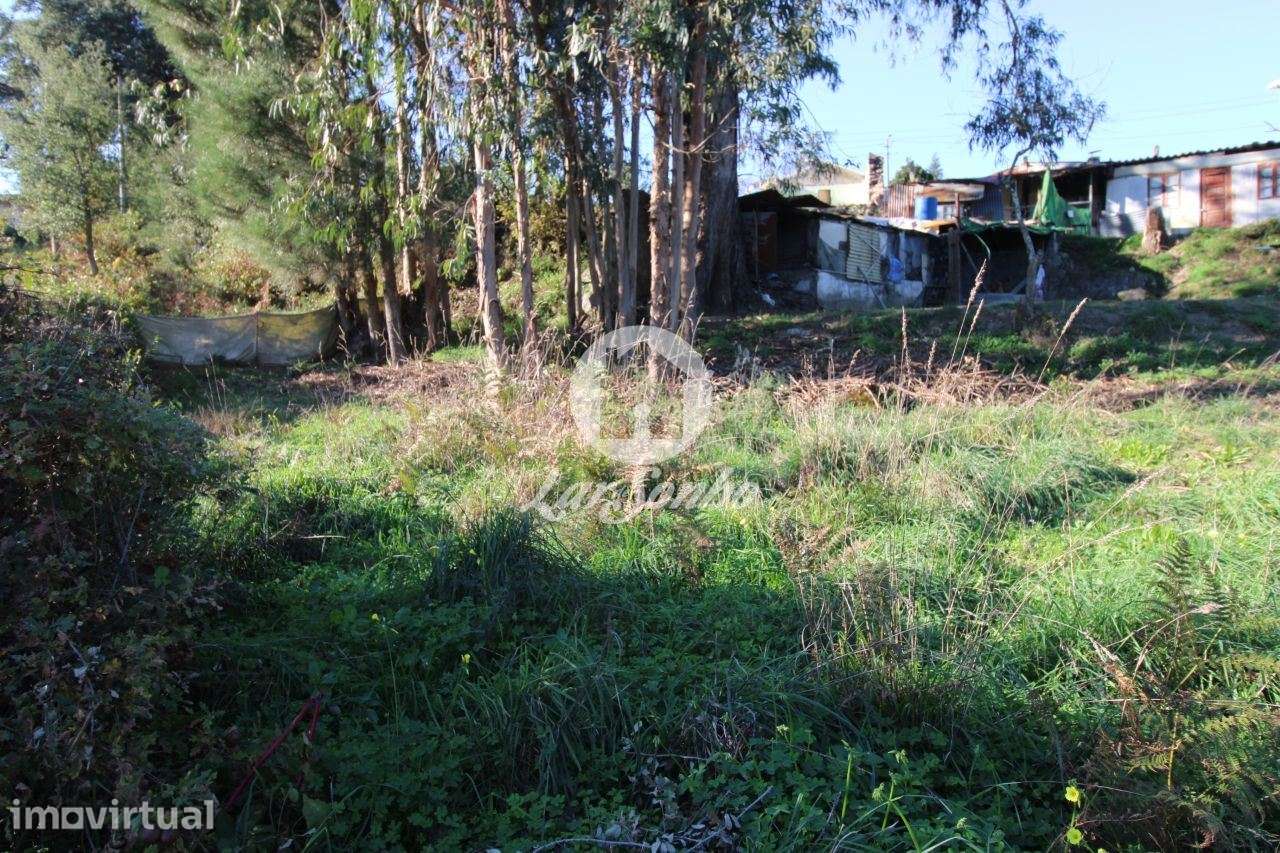 Terreno para construção de moradia c/ 2000m2 em Sequeiró, Stº Tirso - Grande imagem: 3/10
