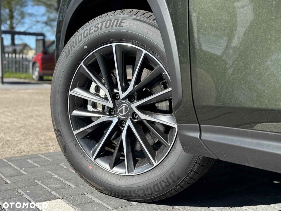 Lexus NX - 13