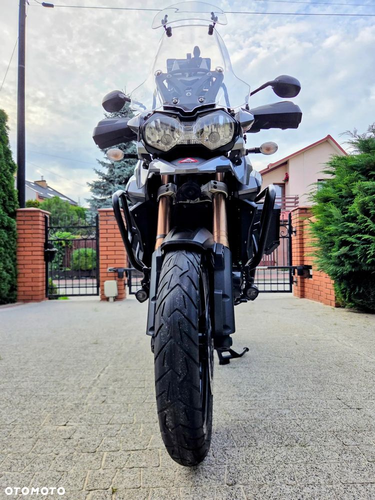 Triumph Tiger - 17