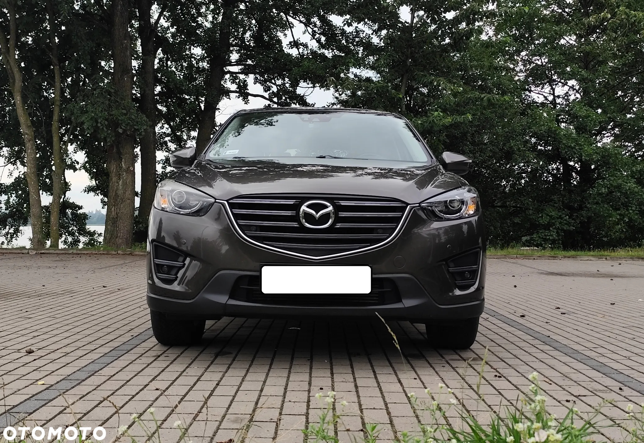 Mazda CX-5 - 3