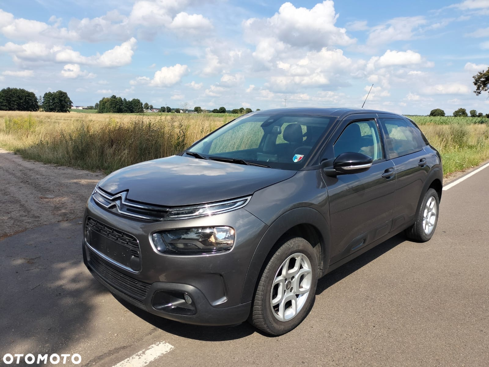Citroën C4 Cactus 1.6 BlueHDi Live - 13
