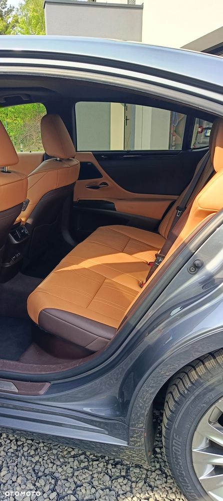 Lexus ES 300h Luxury Line - 18