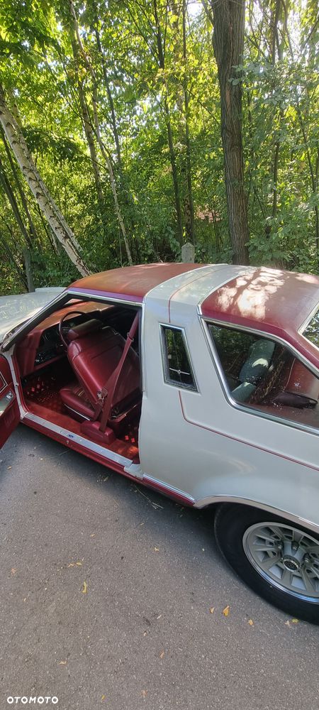 Ford Thunderbird - 4