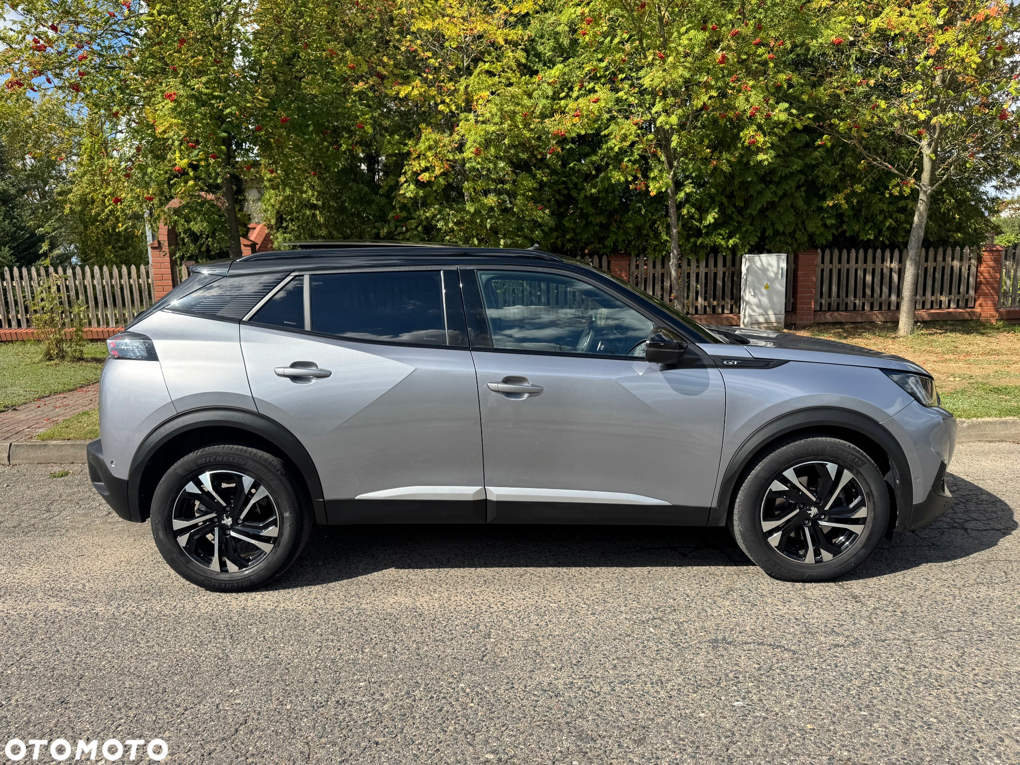 Peugeot 2008 1.5 BlueHDi GT Line S&S EAT8 - 3