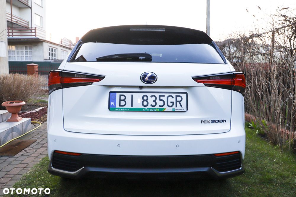 Lexus NX 300h - 6