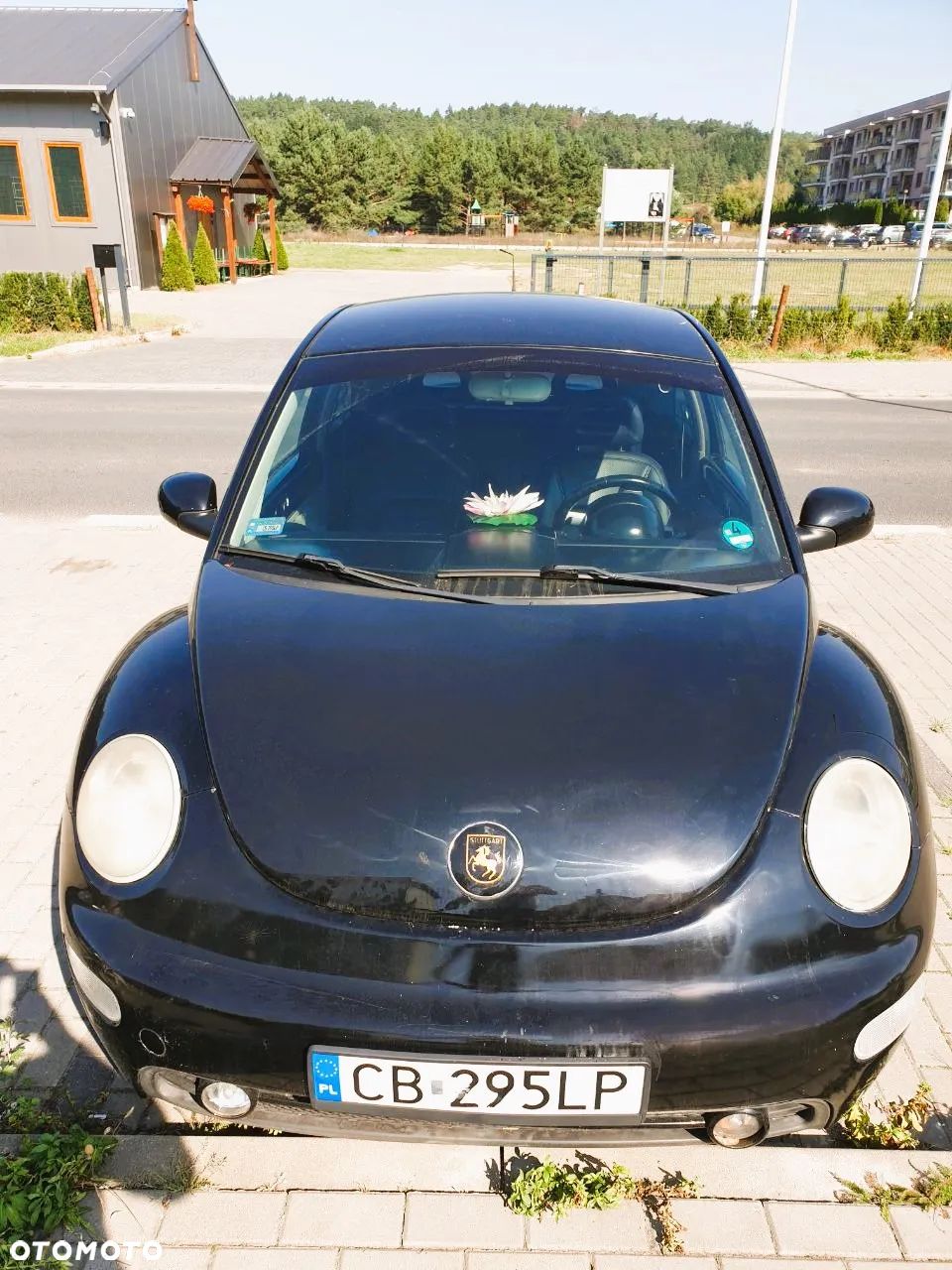 Volkswagen Beetle - 1