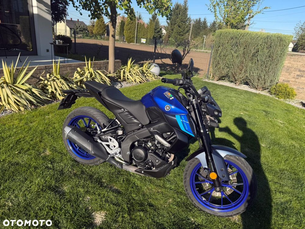 Yamaha MT - 6