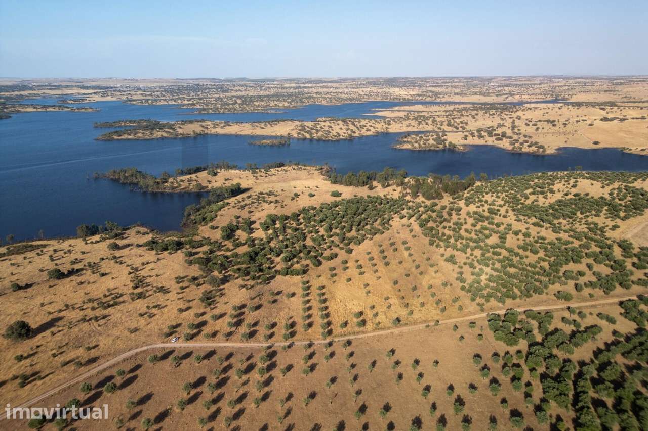 Propriedade  com 15.3ha, junto à barragem do Monte da Rocha - Ourique - Grande imagem: 3/15