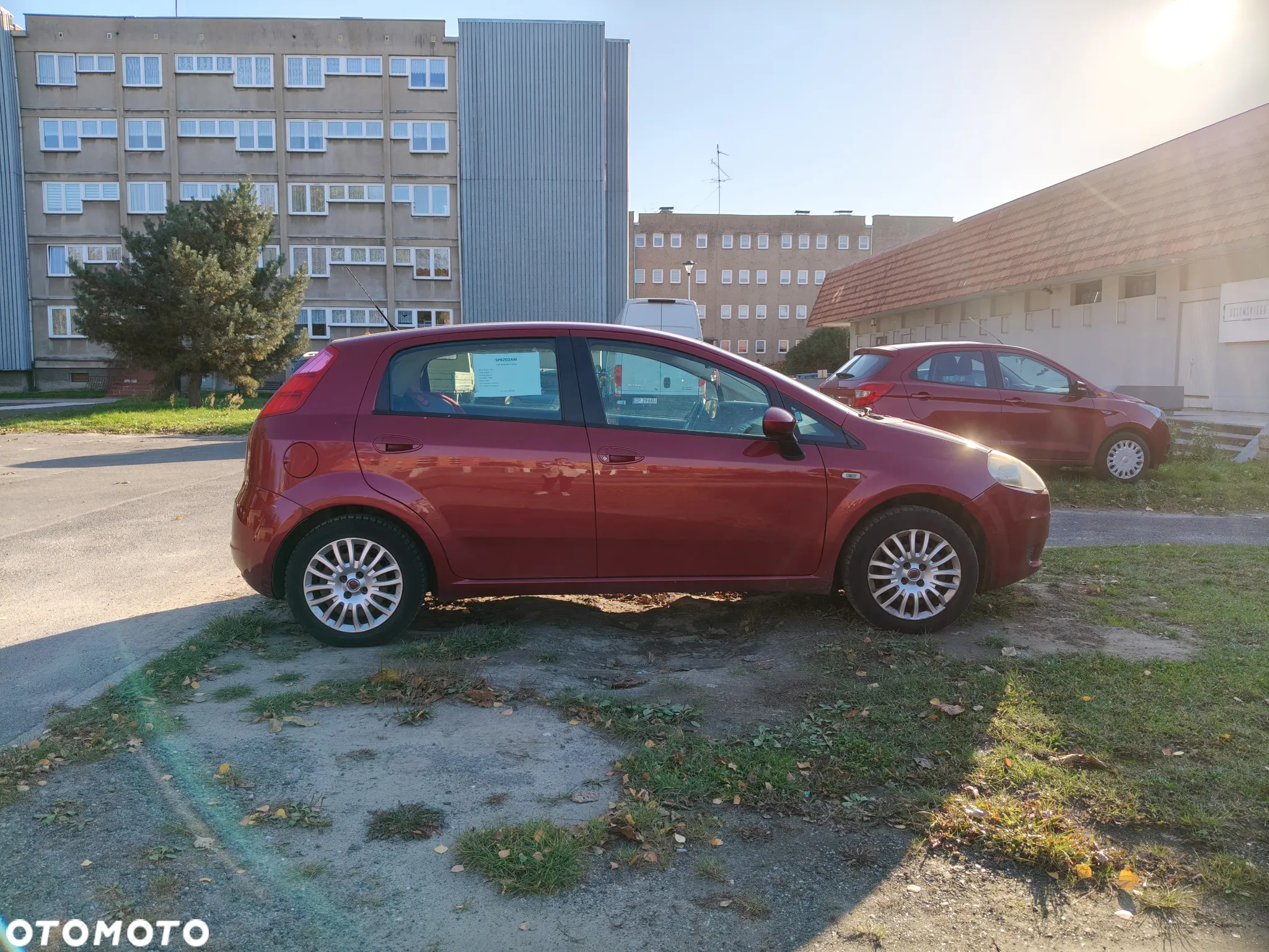 Fiat Punto - 3