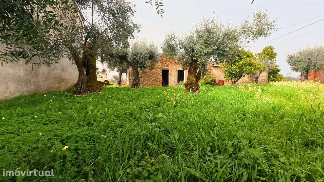 Moradia T2 Venda em Sarzedas,Castelo Branco - Grande imagem: 5/25