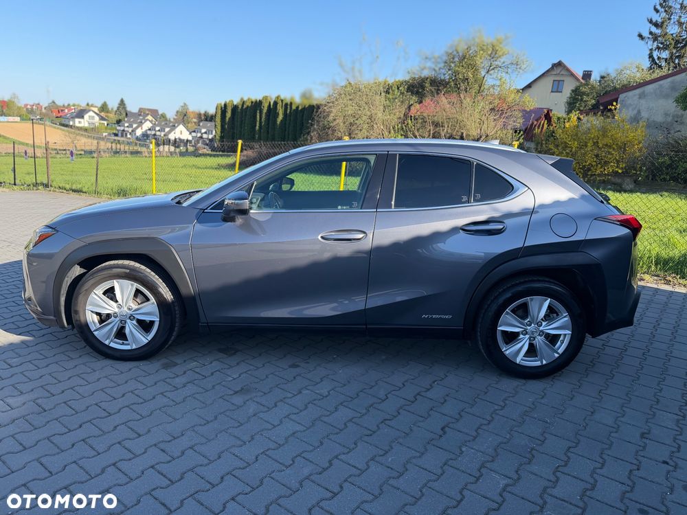 Lexus UX 250h - 8