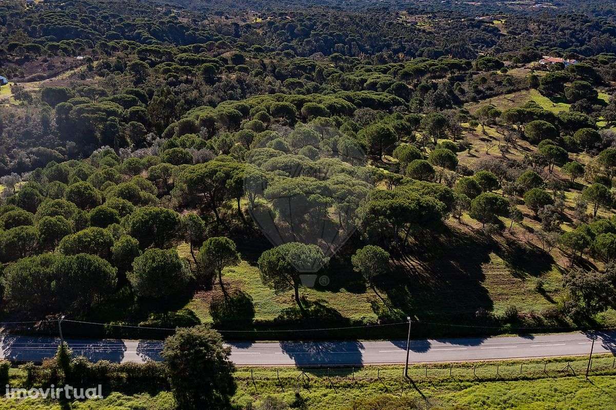 Terreno  para venda - Grande imagem: 3/13