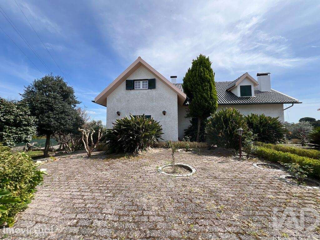 Quinta T5 em Lajeosa do Dão de 315,00 m2 - Grande imagem: 2/29