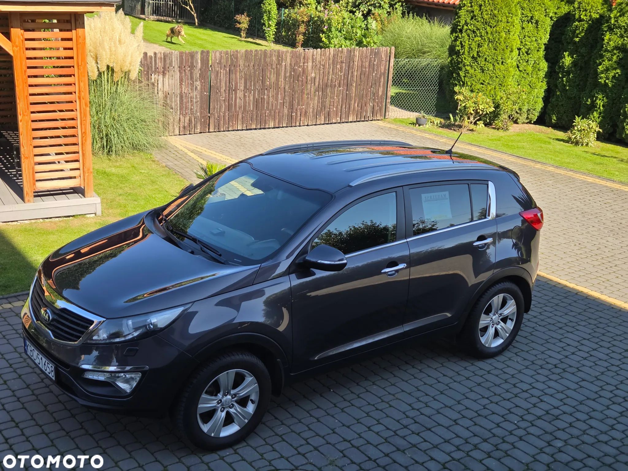 Kia Sportage 1.6 GDI XL 2WD - 1