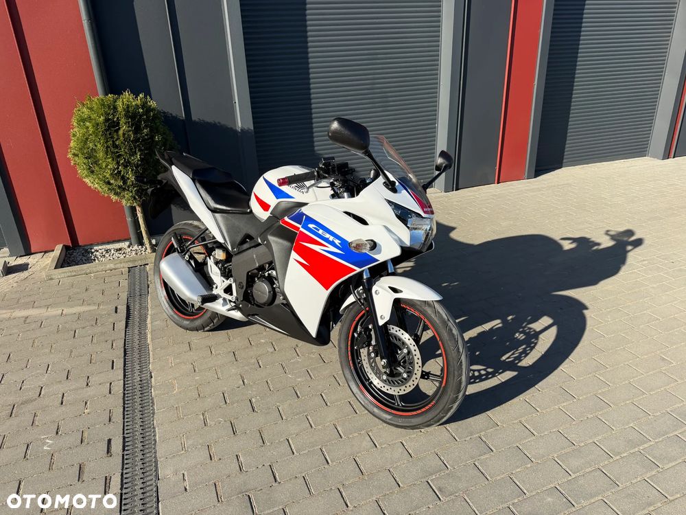 Honda CBR - 41