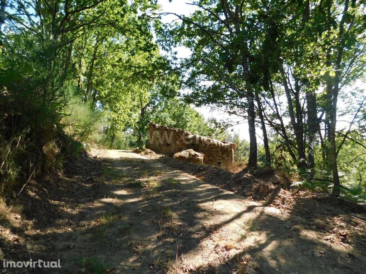 Terreno com ruina / Seia, Seia - Grande imagem: 2/10