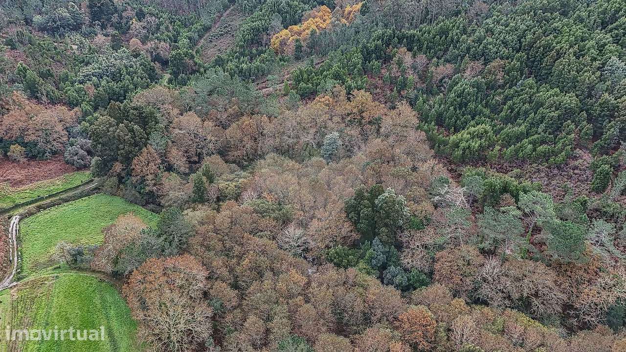 Terreno  para venda - Grande imagem: 2/26