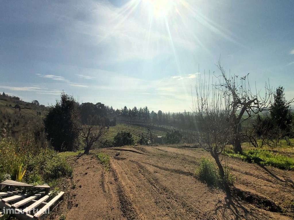 Terreno urbano com 12.560m2, Delgada - Grande imagem: 5/7