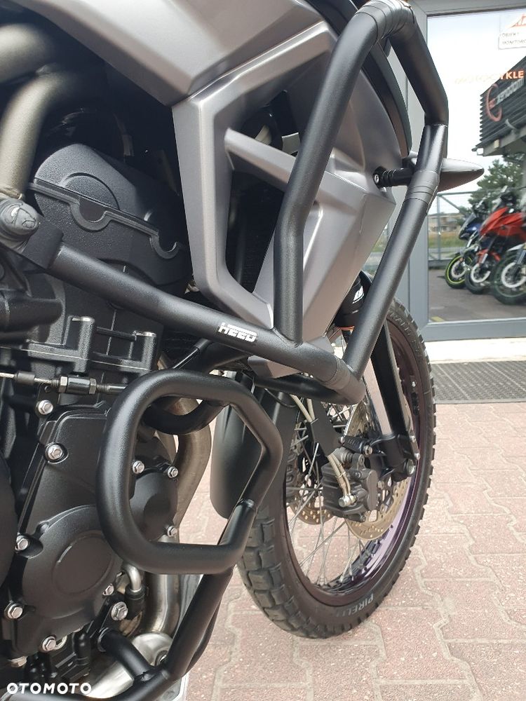 Triumph Tiger - 38