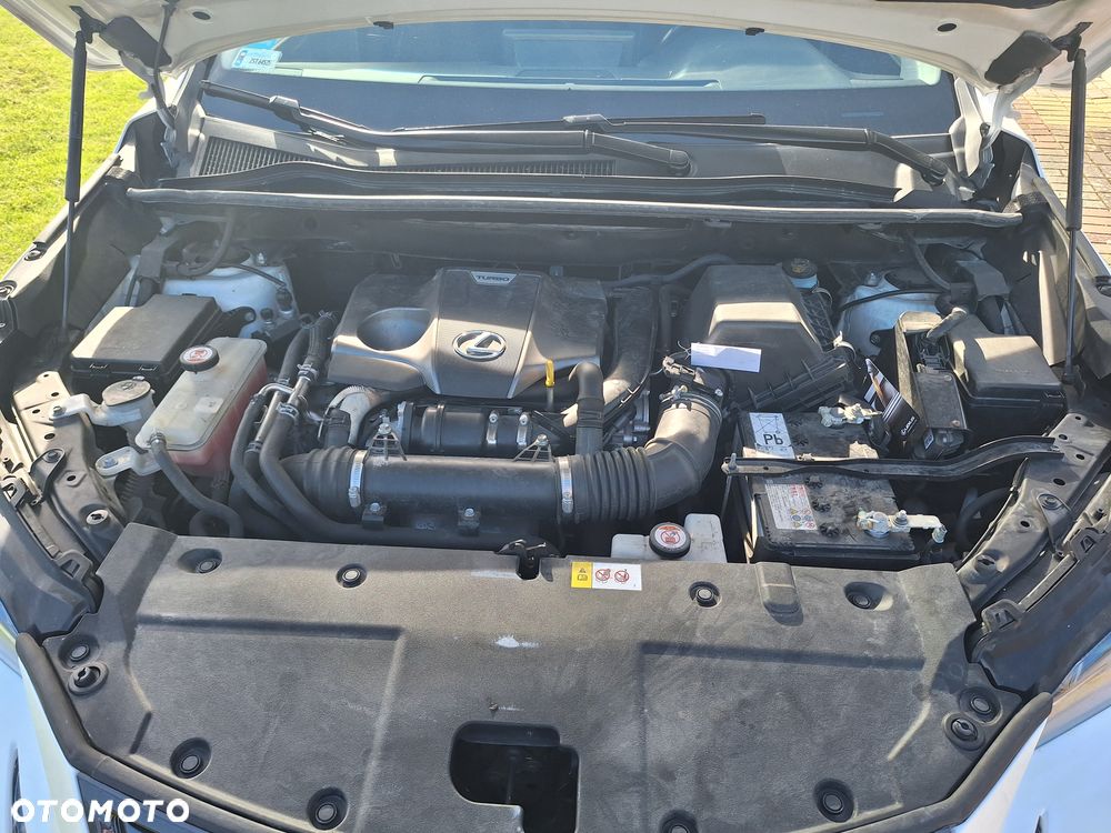 Lexus NX 300 Elegance 2WD - 20