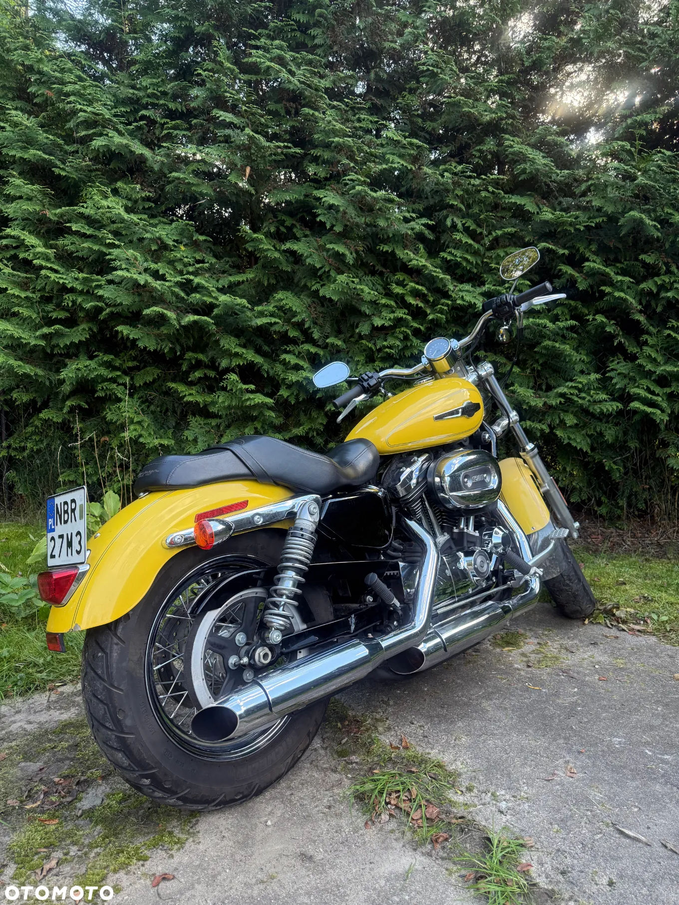 Harley-Davidson Sportster Custom 1200C - 6