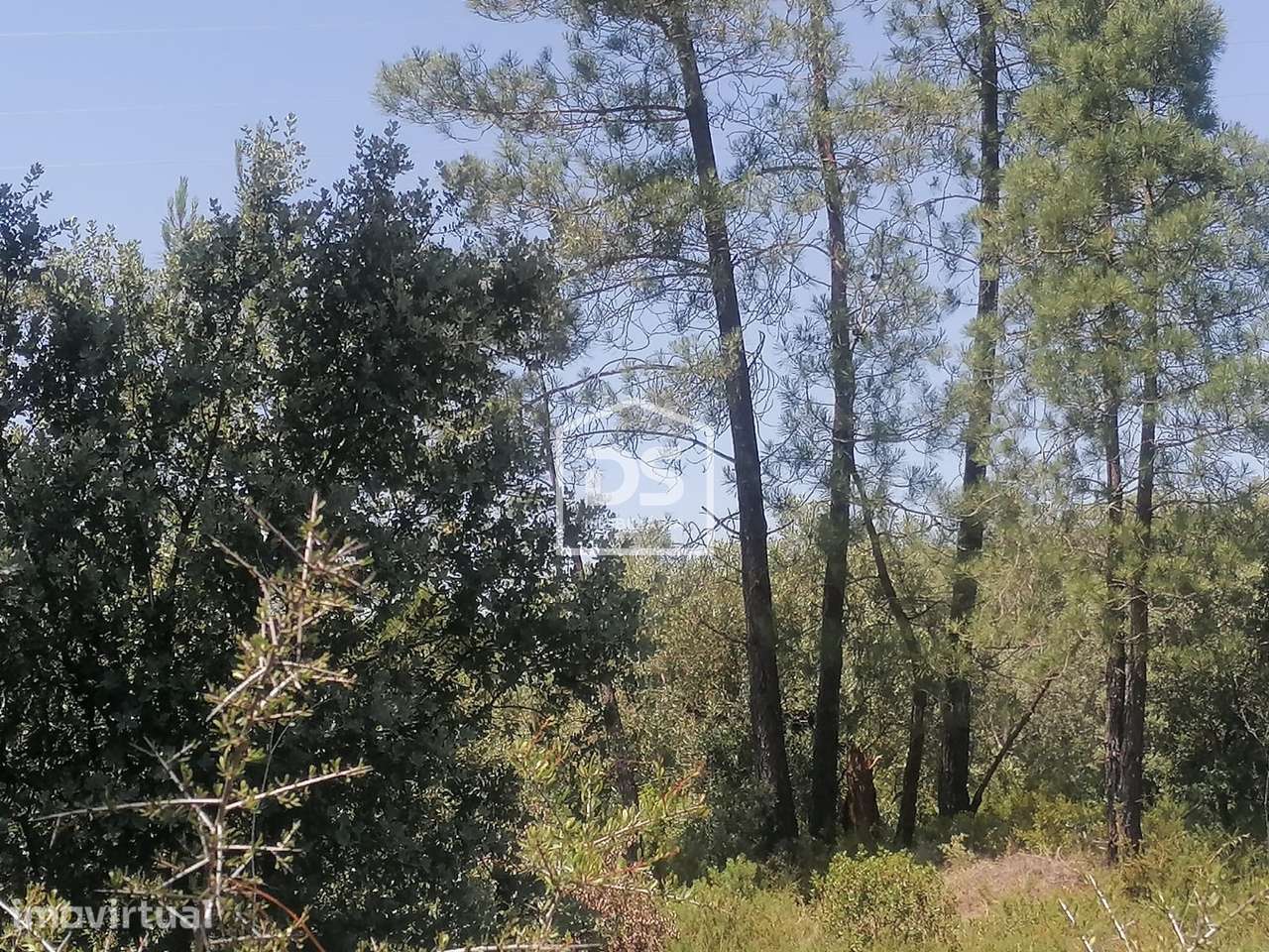 Terreno Para Construção  Venda em Minde,Alcanena - Grande imagem: 5/17