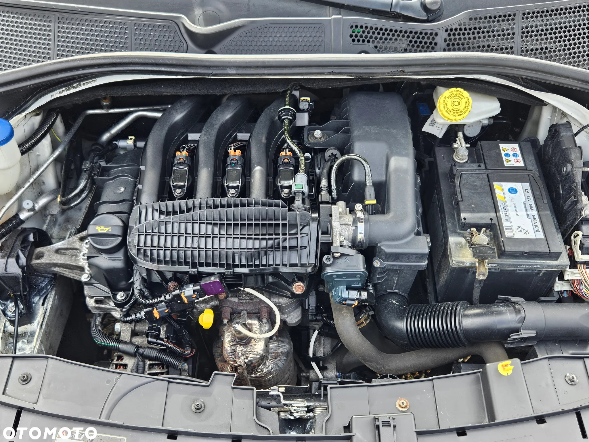 Citroën C4 Cactus 1.2 PureTech Shine EU6 - 40