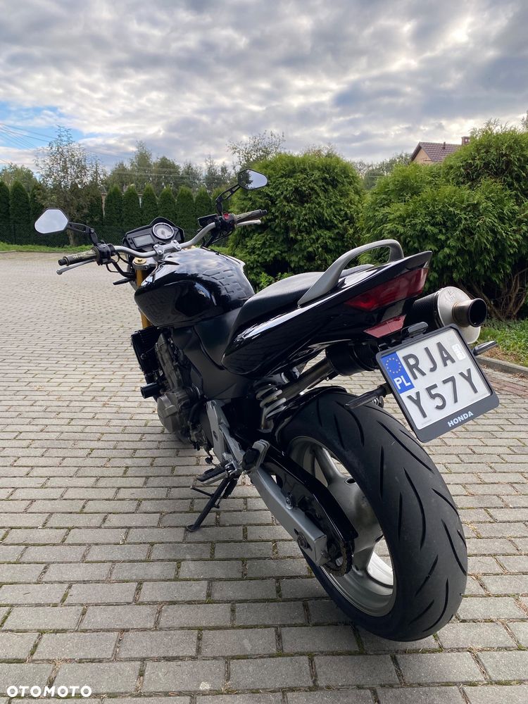 Honda Hornet - 8