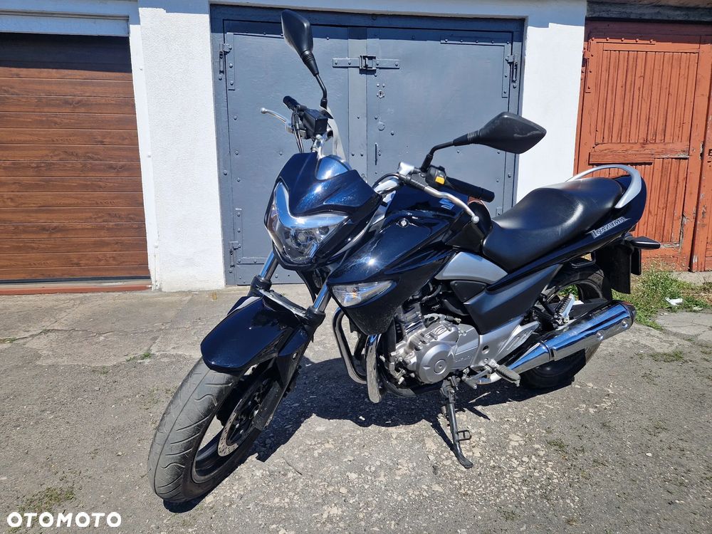 Suzuki GW 250 - 1