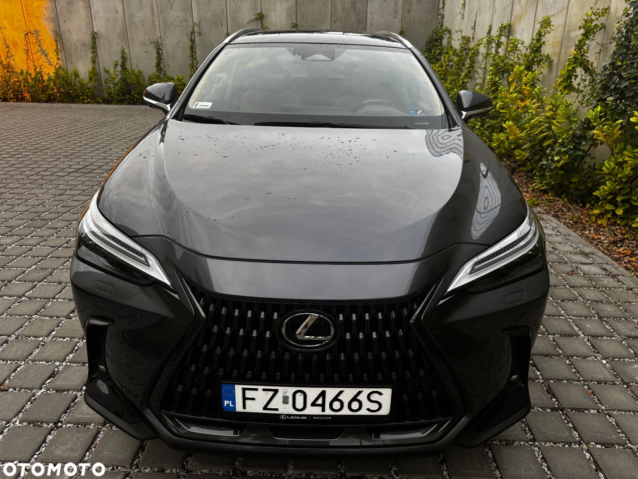 Lexus NX - 1